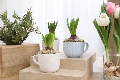 Photo of Potted hyacinth plants and tulips with bulbs on wooden table