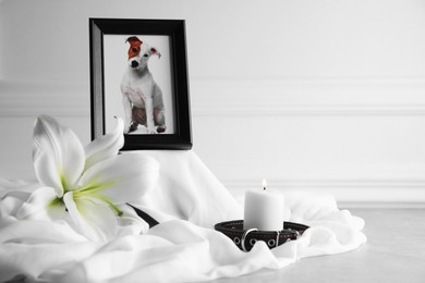 Photo of Pet funeral. Frame with picture of dog, collar, burning candle and lily flower on light grey table, closeup. Space for text