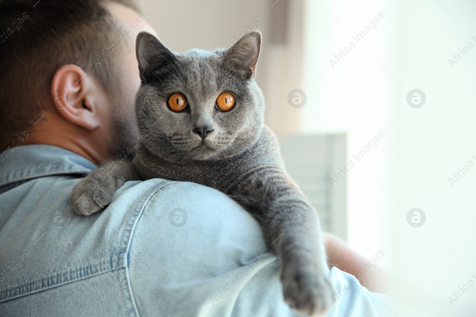 Photo of Man with cute cat on blurred background, closeup