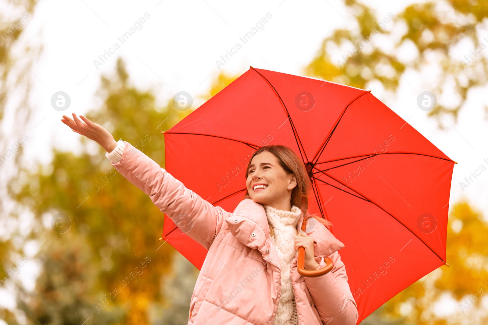 Photo of Woman with umbrella in autumn park on rainy day