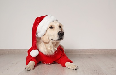 Photo of Cute dog in warm sweater and Christmas hat on floor