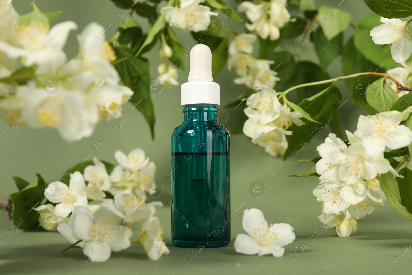 Photo of Essential oil in bottle and beautiful jasmine flowers on pale green background