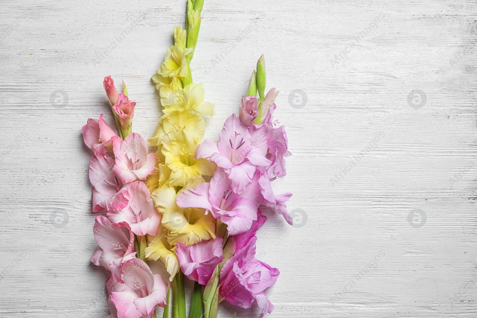 Photo of Flat lay composition with beautiful gladiolus flowers on wooden background