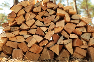 Stack of cut firewood in forest on sunny day, closeup
