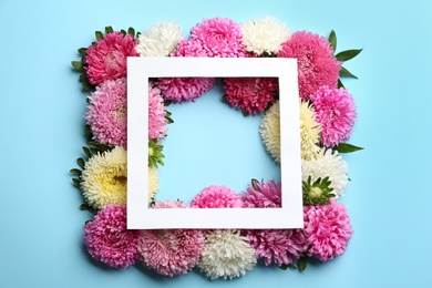 Photo of Frame of beautiful asters on light blue background, flat lay. Autumn flowers