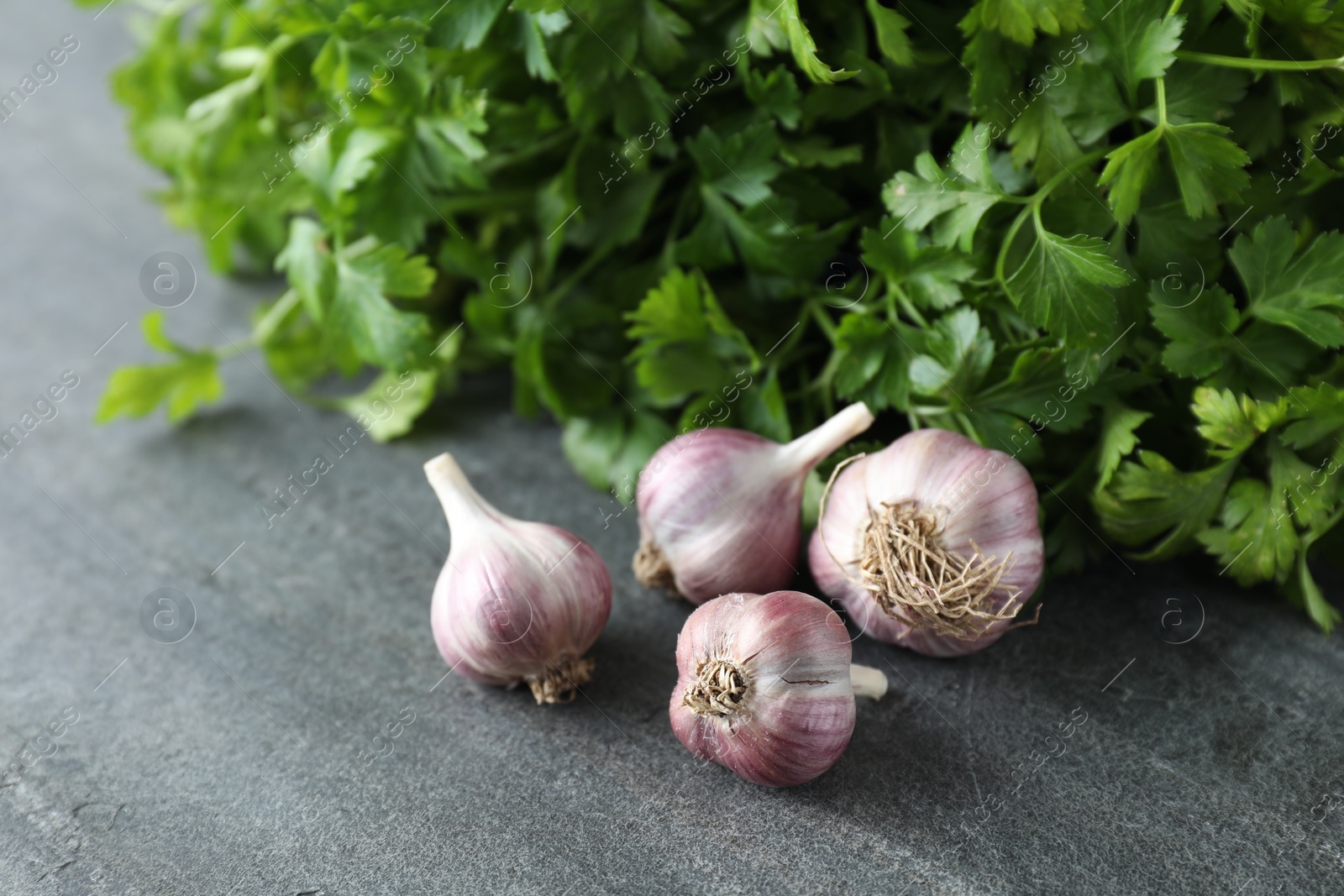 Photo of Fresh raw garlic and parsley on grey table, closeup