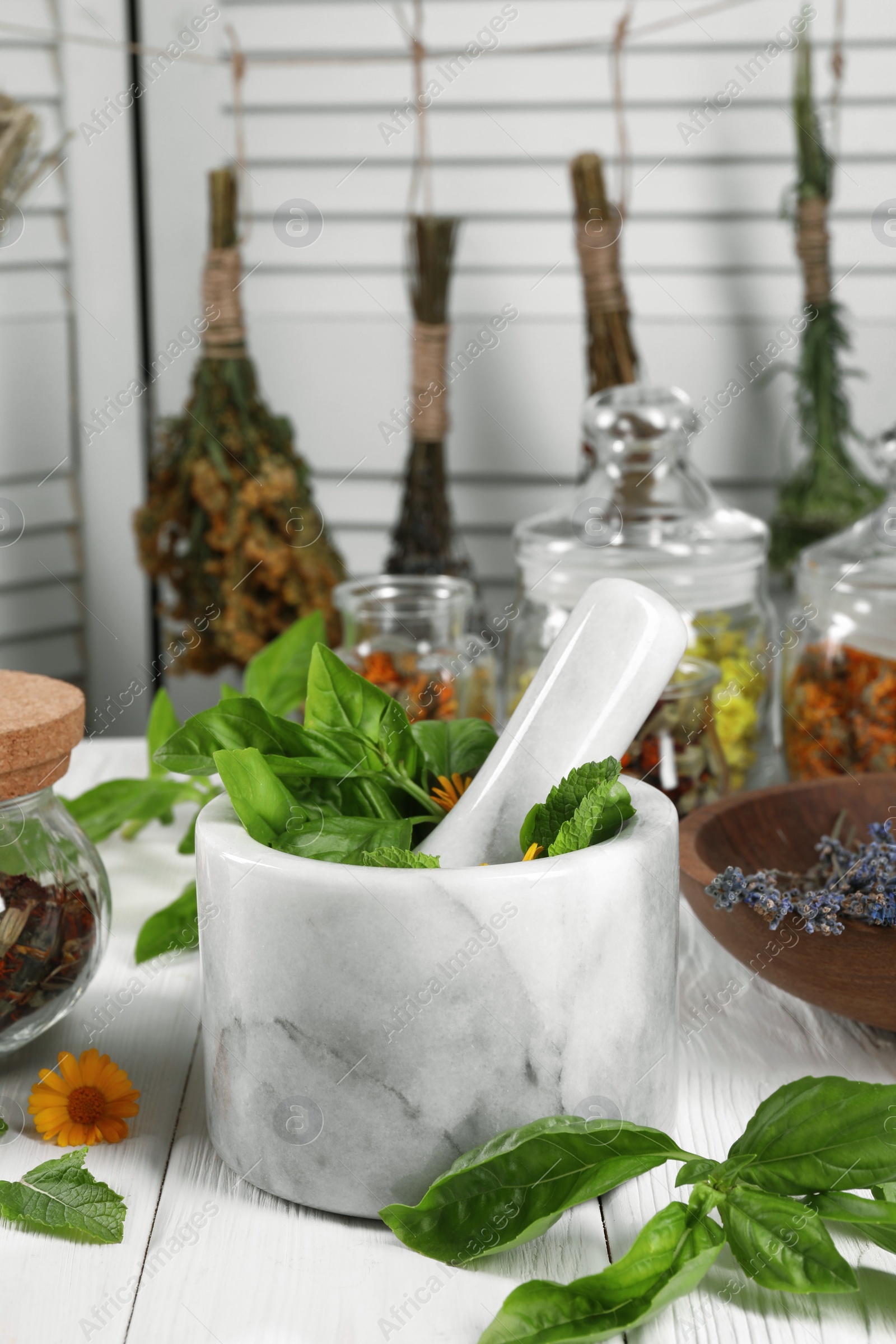 Photo of Mortar with pestle and many different medicinal herbs on white wooden table