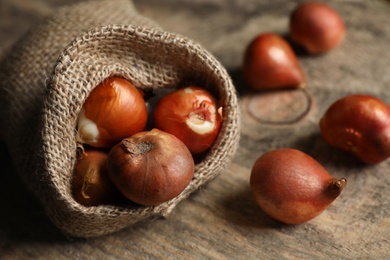 Photo of Sack with tulip bulbs on wooden table