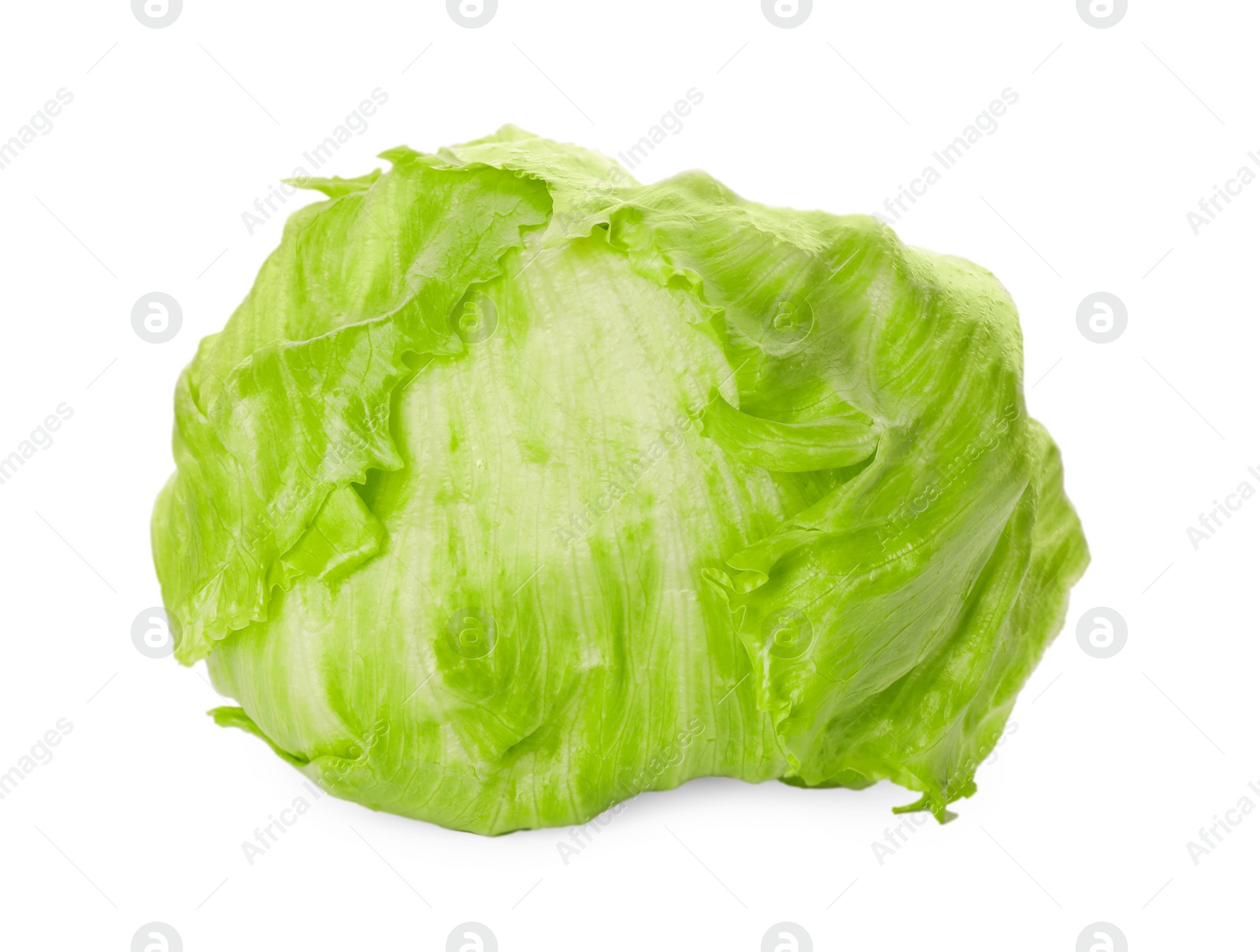 Photo of Fresh green iceberg lettuce isolated on white