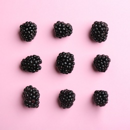 Fresh ripe blackberries on pink background, flat lay