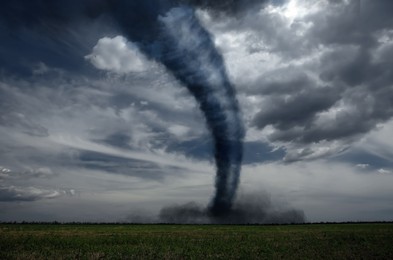Image of Dangerous whirlwind at agricultural field. Weather phenomenon