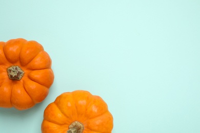 Fresh ripe pumpkins on light blue background, flat lay. Space for text