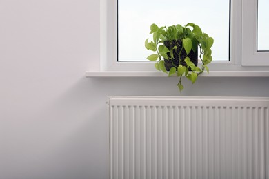 Photo of Beautiful houseplant on window sill and modern radiator at home. Central heating system