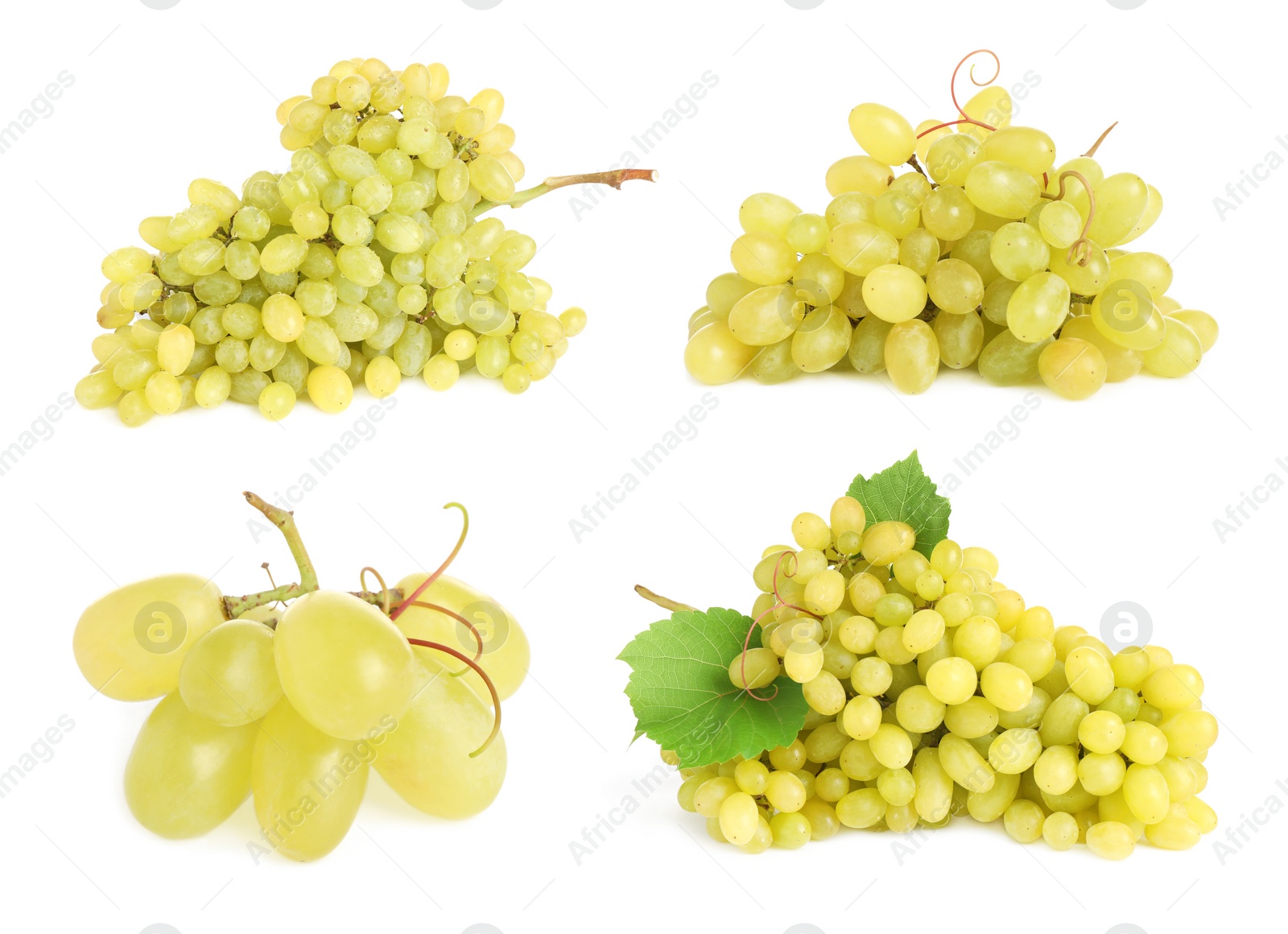 Image of Set of fresh grapes on white background