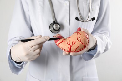 Gastroenterologist showing human stomach model on white background, closeup