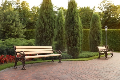 Photo of Picturesque landscape with benches on sunny day. Gardening idea