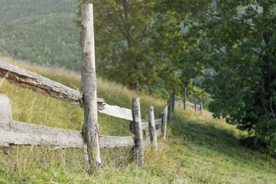 Photo of Old wooden fence and green grass outdoors
