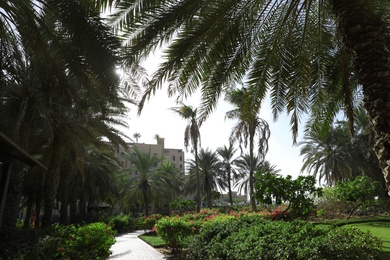 Photo of Beautiful park in tropical resort on sunny day