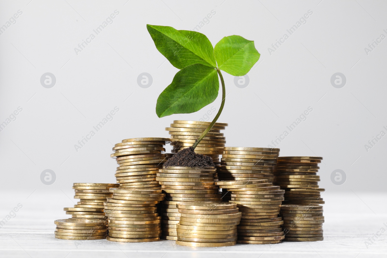 Photo of Stacks of coins with green sprout on white table against light grey background. Investment concept