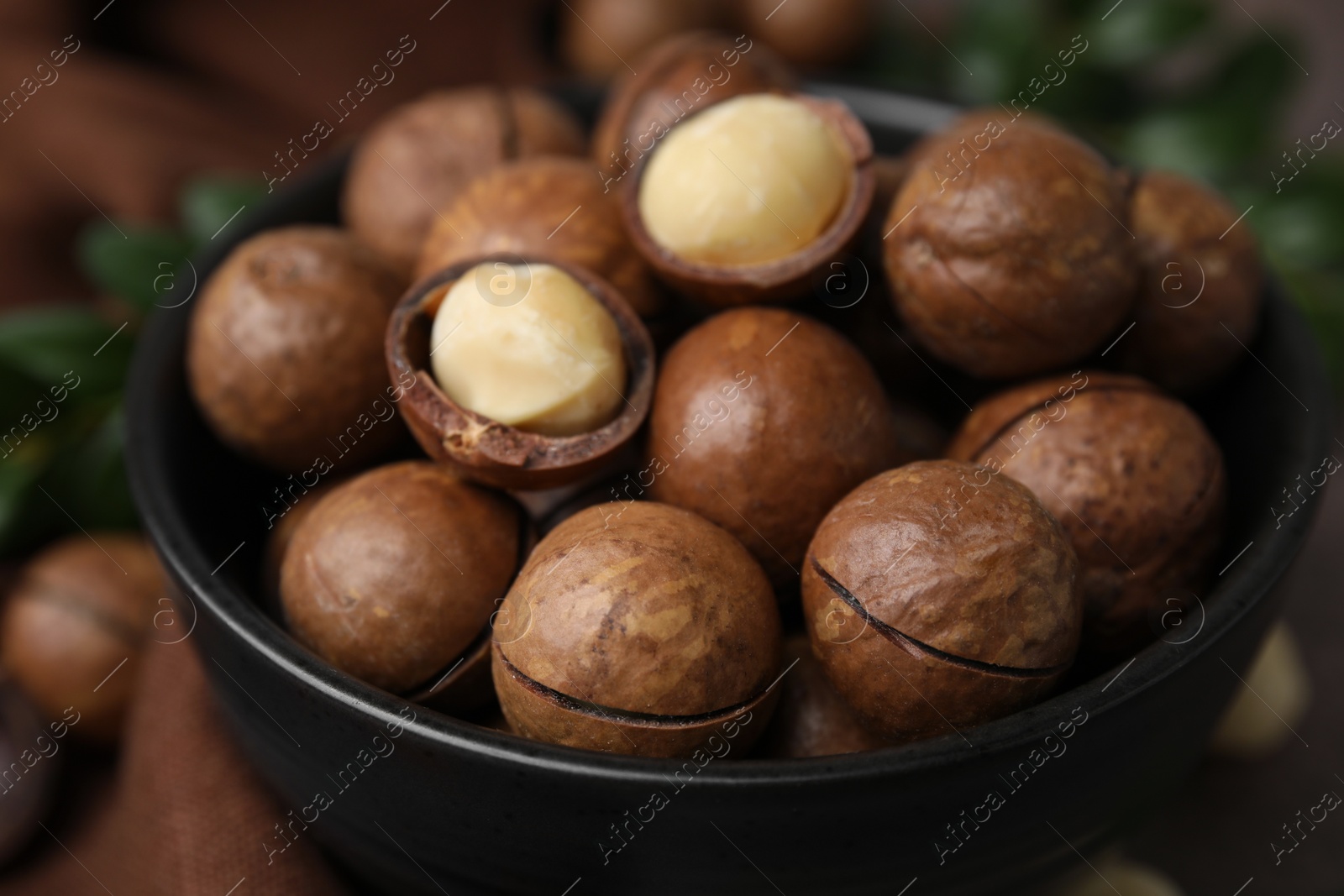 Photo of Tasty Macadamia nuts in bowl on brown table, closeup