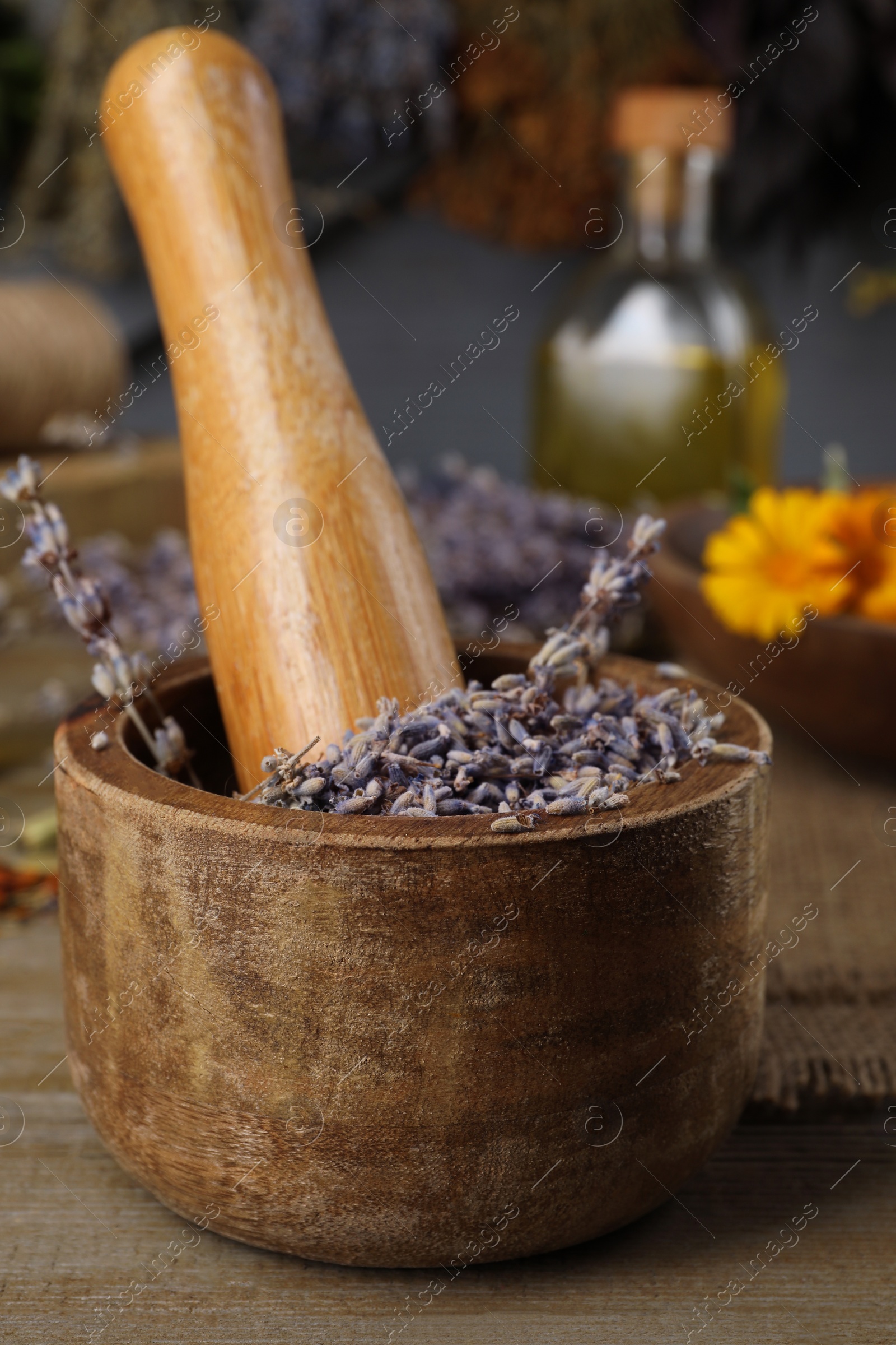 Photo of Mortar with pestle and dry lavender flowers on wooden table. Medicinal herbs