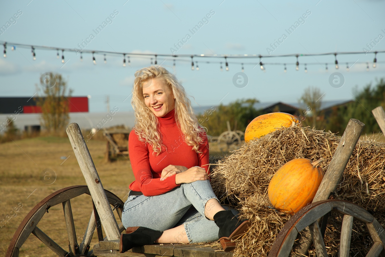 Photo of Beautiful woman sitting on wooden cart with pumpkins and hay in field. Autumn season
