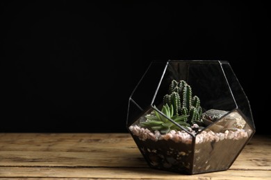 Beautiful florarium with succulents on wooden table against black background, space for text