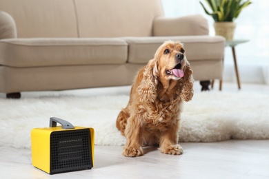 Beautiful cocker spaniel on rug near electric heater at home