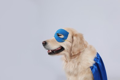 Photo of Adorable dog in blue superhero cape and mask on light grey background