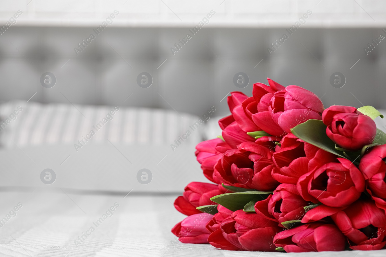 Photo of Many beautiful tulips on bed at home. Space for text