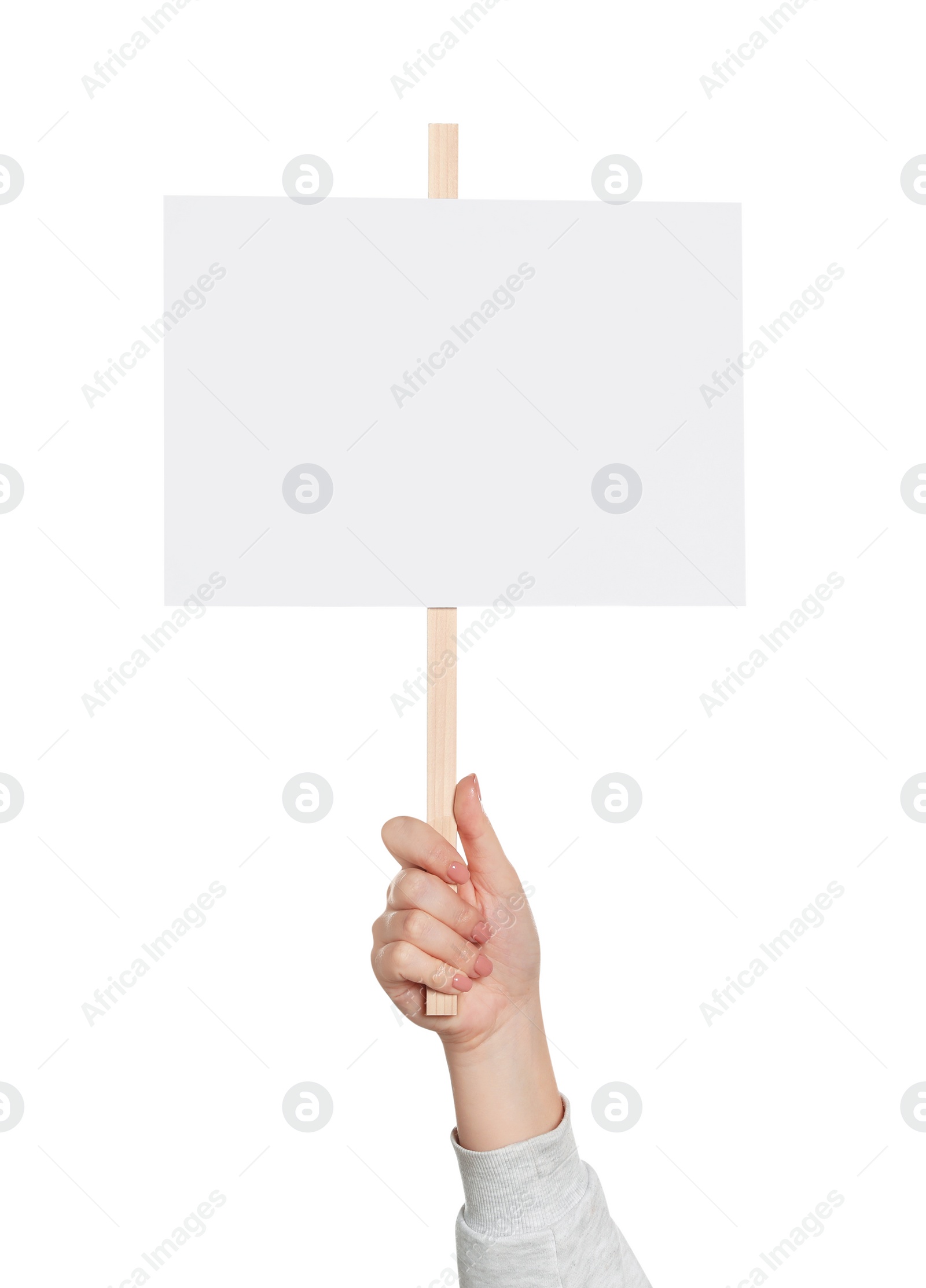 Photo of Woman holding blank protest sign on white background, closeup