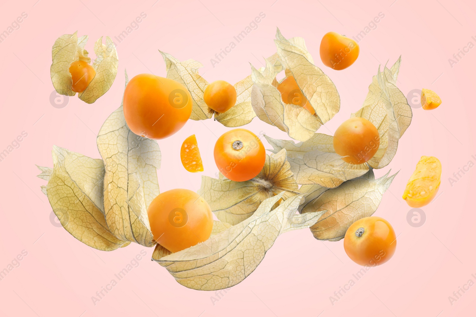 Image of Ripe orange physalis fruits with calyx falling on pink background