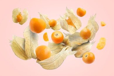 Ripe orange physalis fruits with calyx falling on pink background