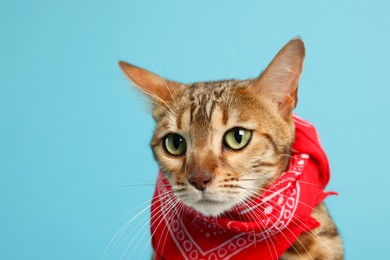 Cute Bengal cat with red bandana on light blue background, closeup. Space for text