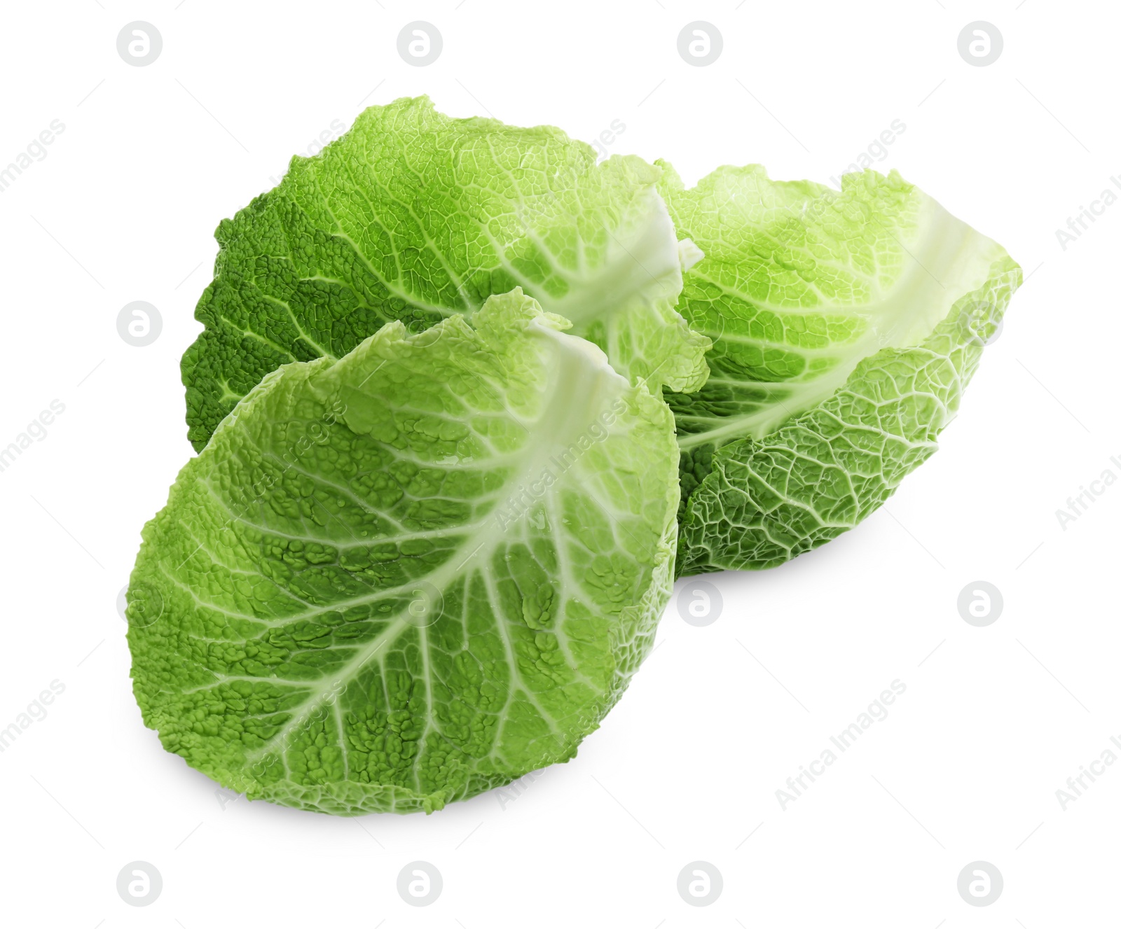 Photo of Fresh leaves of savoy cabbage on white background