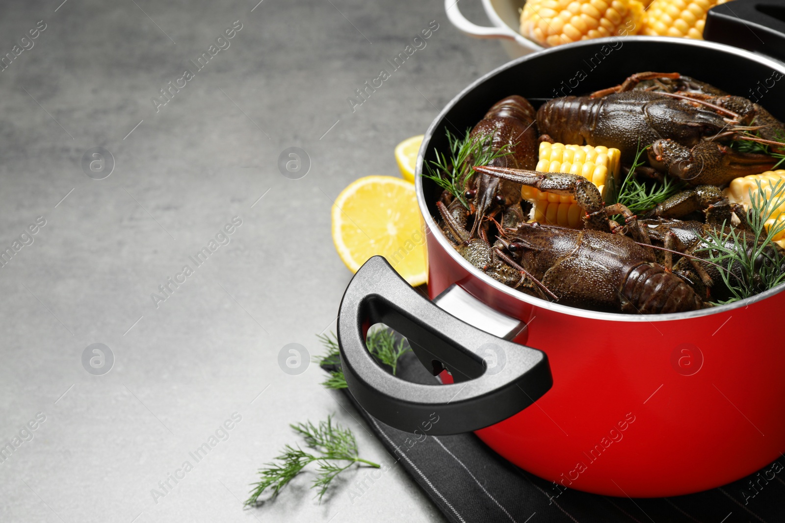 Photo of Fresh raw crayfishes with corn cobs in pot on grey table. Space for text