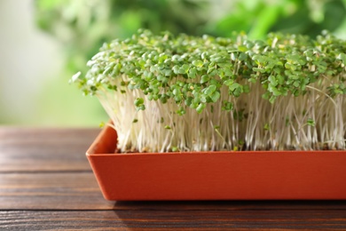 Fresh organic microgreen in pot on wooden table outdoors, closeup