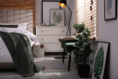 Photo of Stylish bedroom interior with green eucalyptus tree, floral paintings and bench