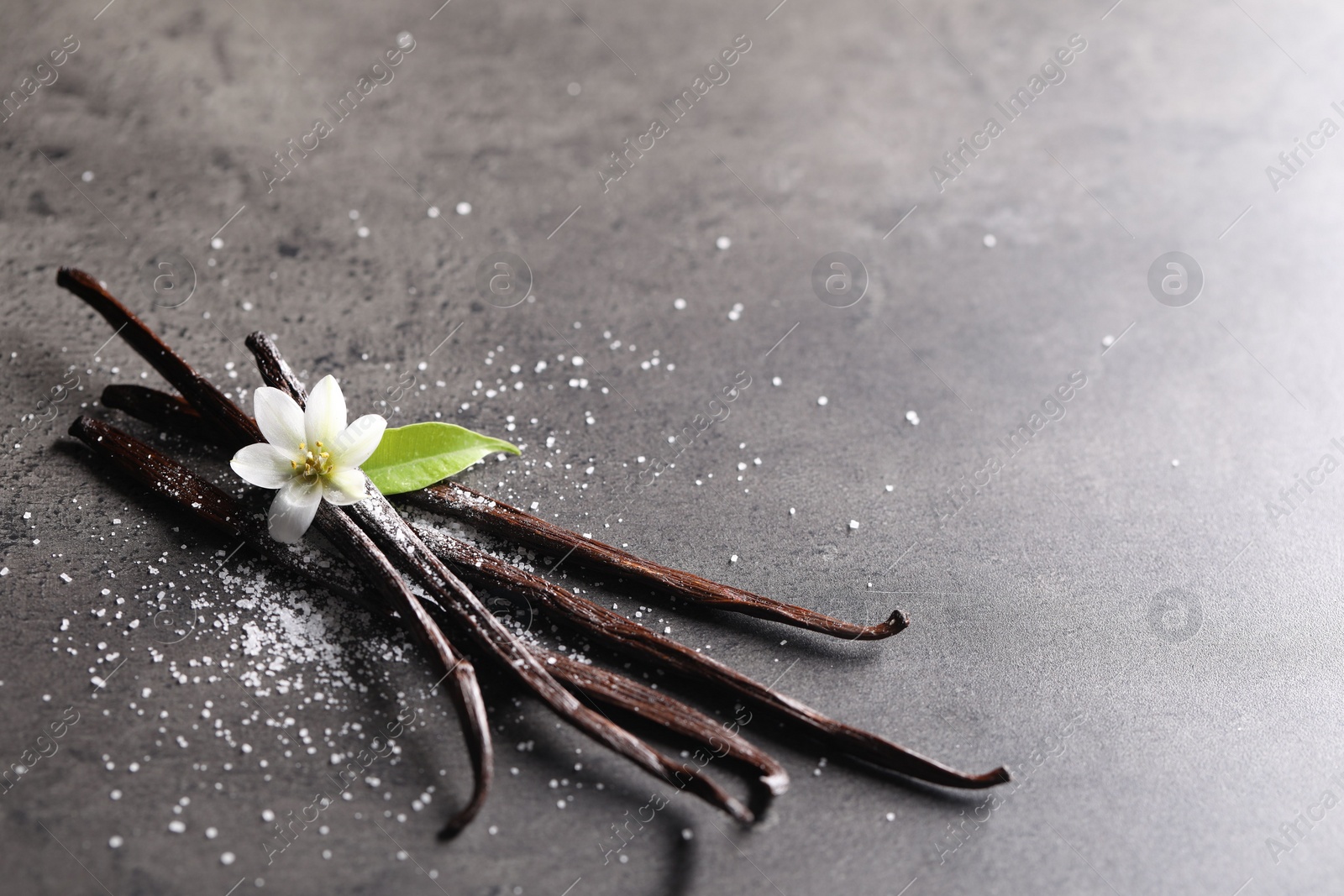 Photo of Vanilla pods, flower, leaf and sugar on grey textured table, closeup. Space for text