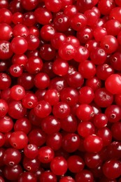 Photo of Fresh ripe cranberries as background, closeup view