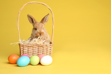 Adorable furry Easter bunny in wicker basket and dyed eggs on color background, space for text