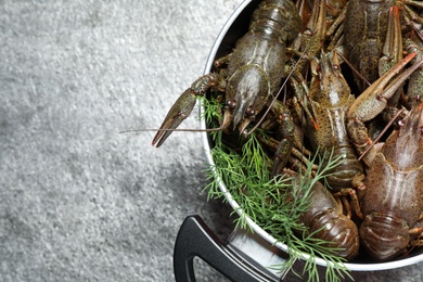 Fresh raw crayfishes in pot on grey table, top view. Space for text