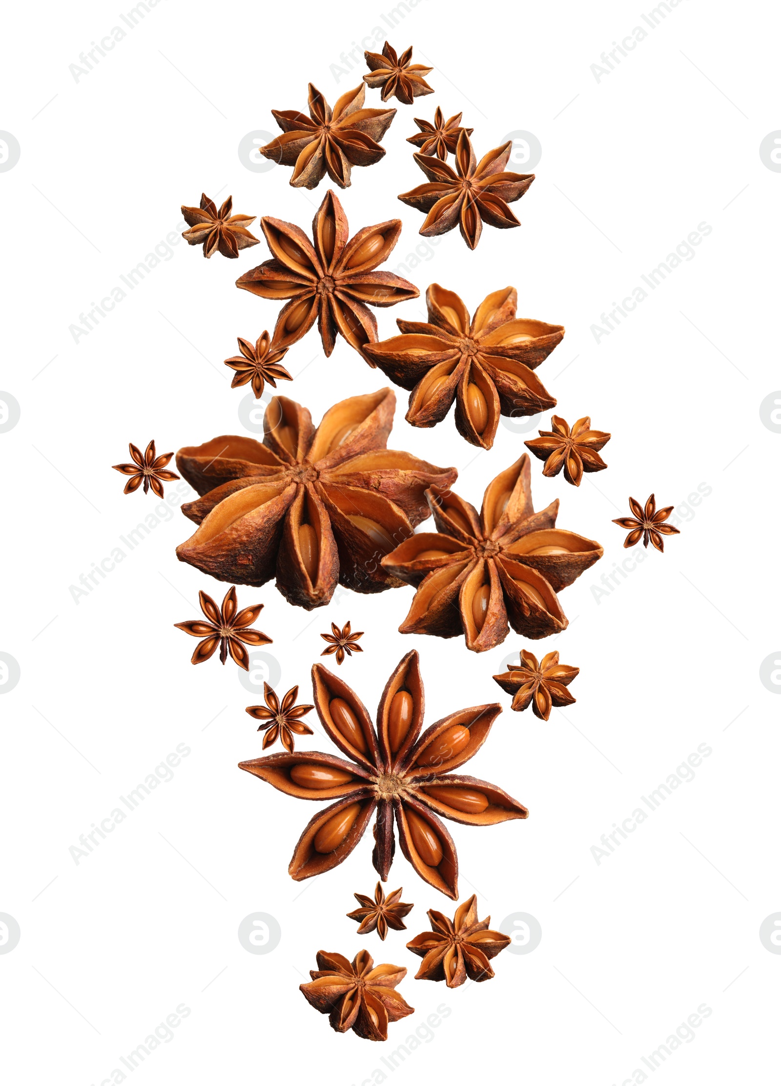 Image of Dry aromatic anise stars falling on white background