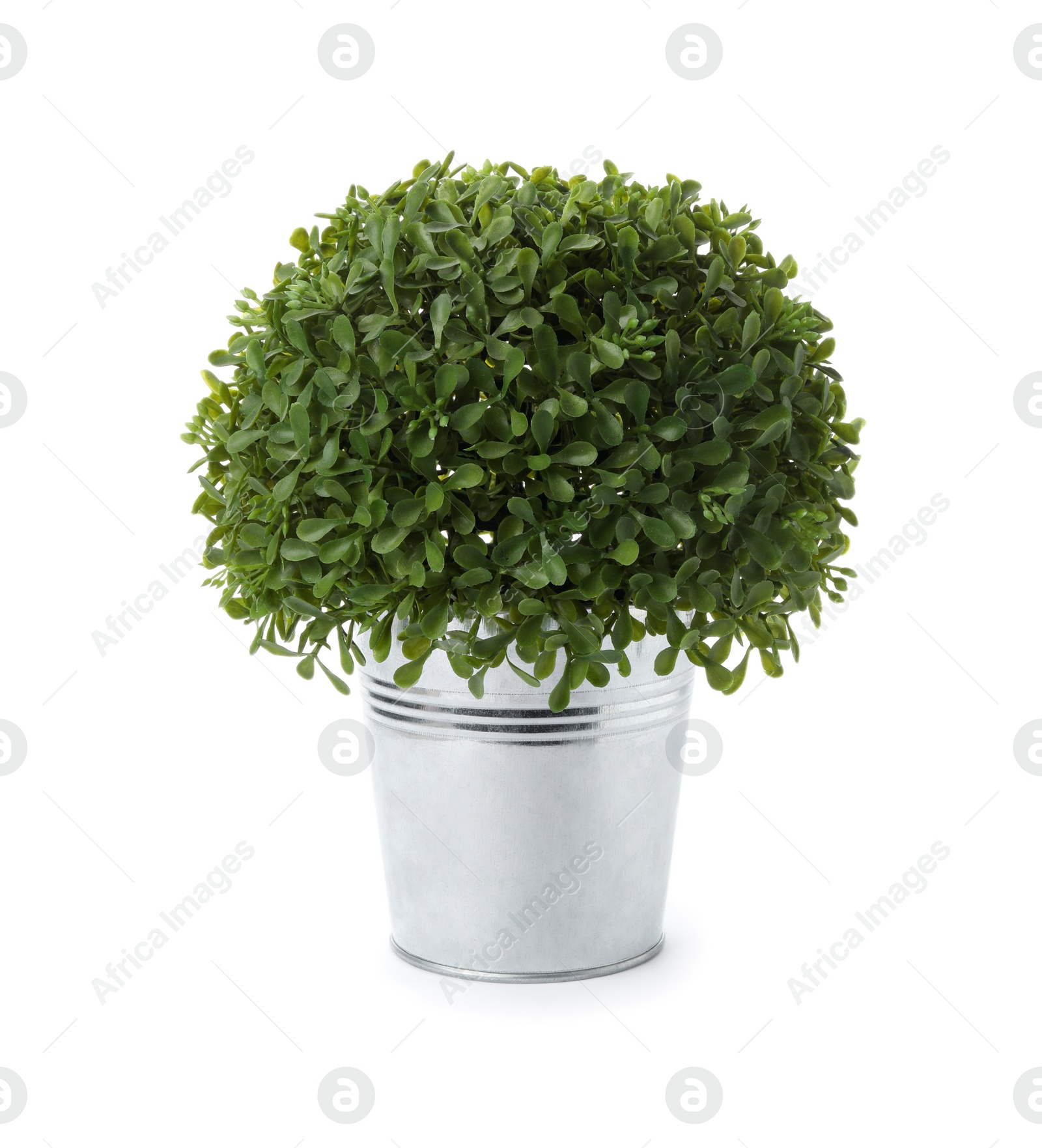 Photo of Beautiful artificial plant in flower pot isolated on white