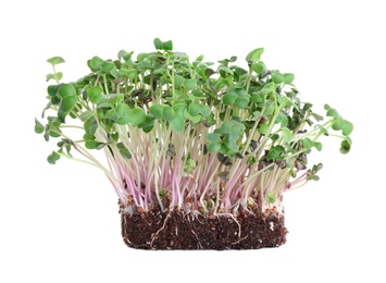 Photo of Fresh organic microgreen seeds on white background