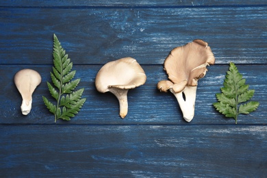 Flat lay composition with oyster mushrooms and leaves on wooden background