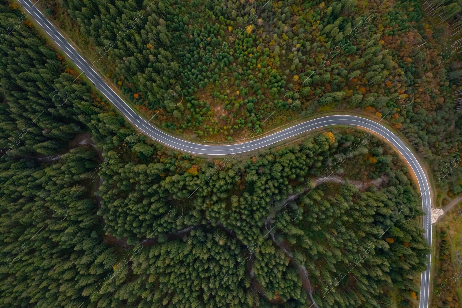 Image of Aerial view of beautiful forest and empty road on autumn day