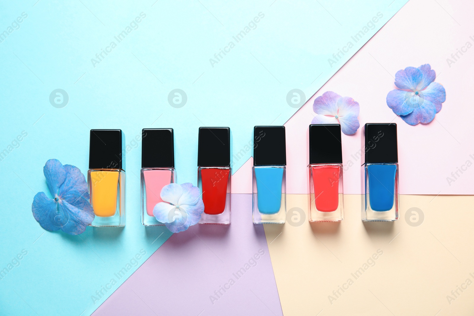 Photo of Bottles of nail polish and flowers on color background, top view