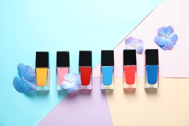 Bottles of nail polish and flowers on color background, top view