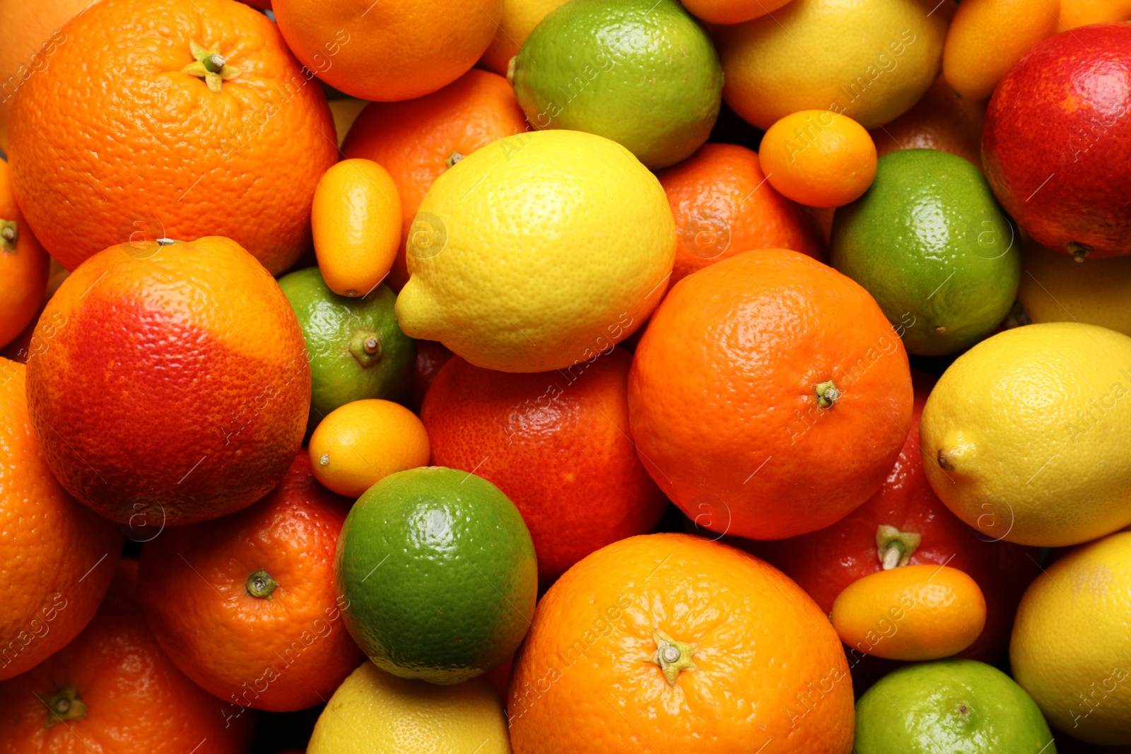 Photo of Different ripe citrus fruits as background, closeup